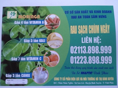 RAU CHÙM NGÂY SÂM HƯNG